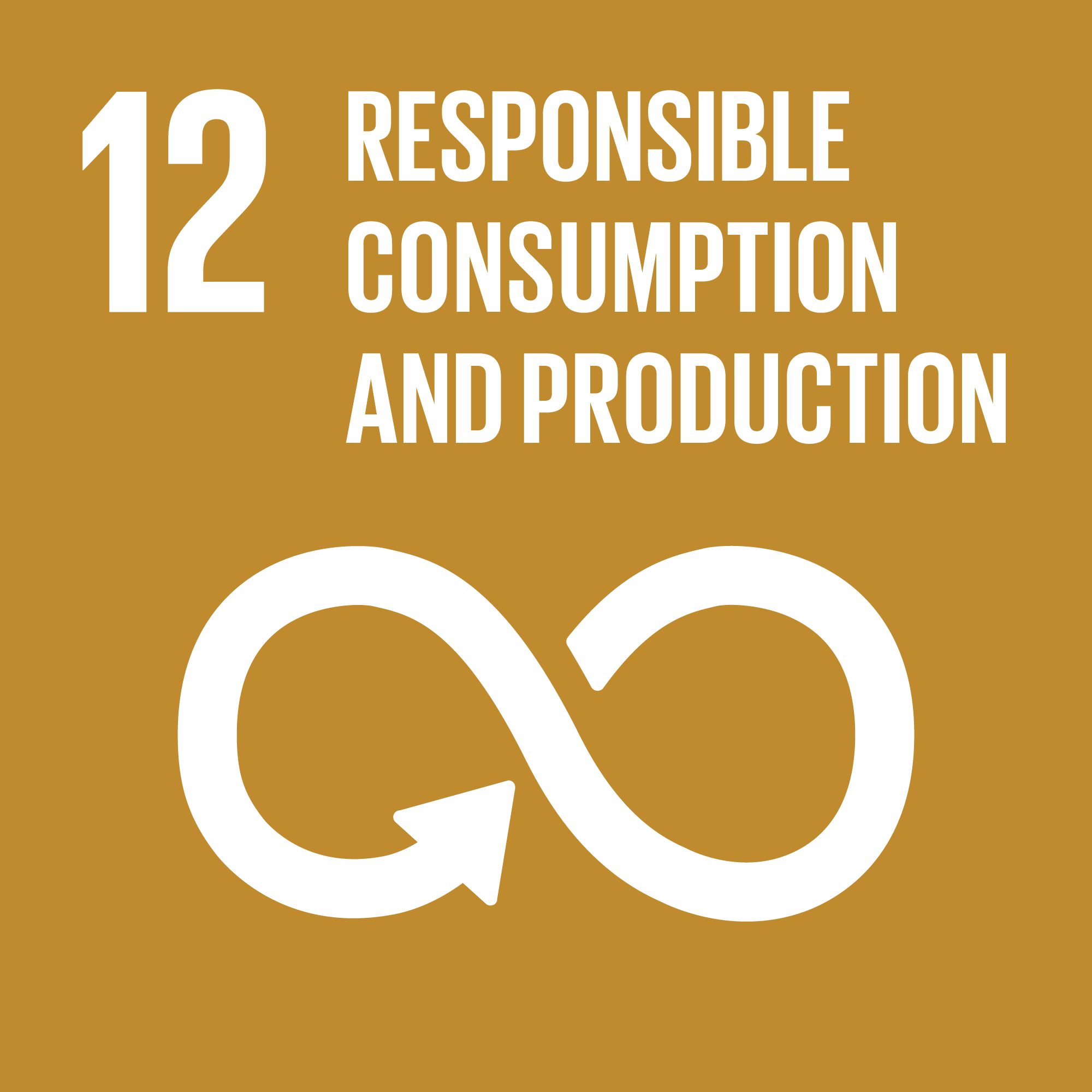 Goal 12: Responsible Consumption and Production - Ensure sustainable consumption and production patterns 