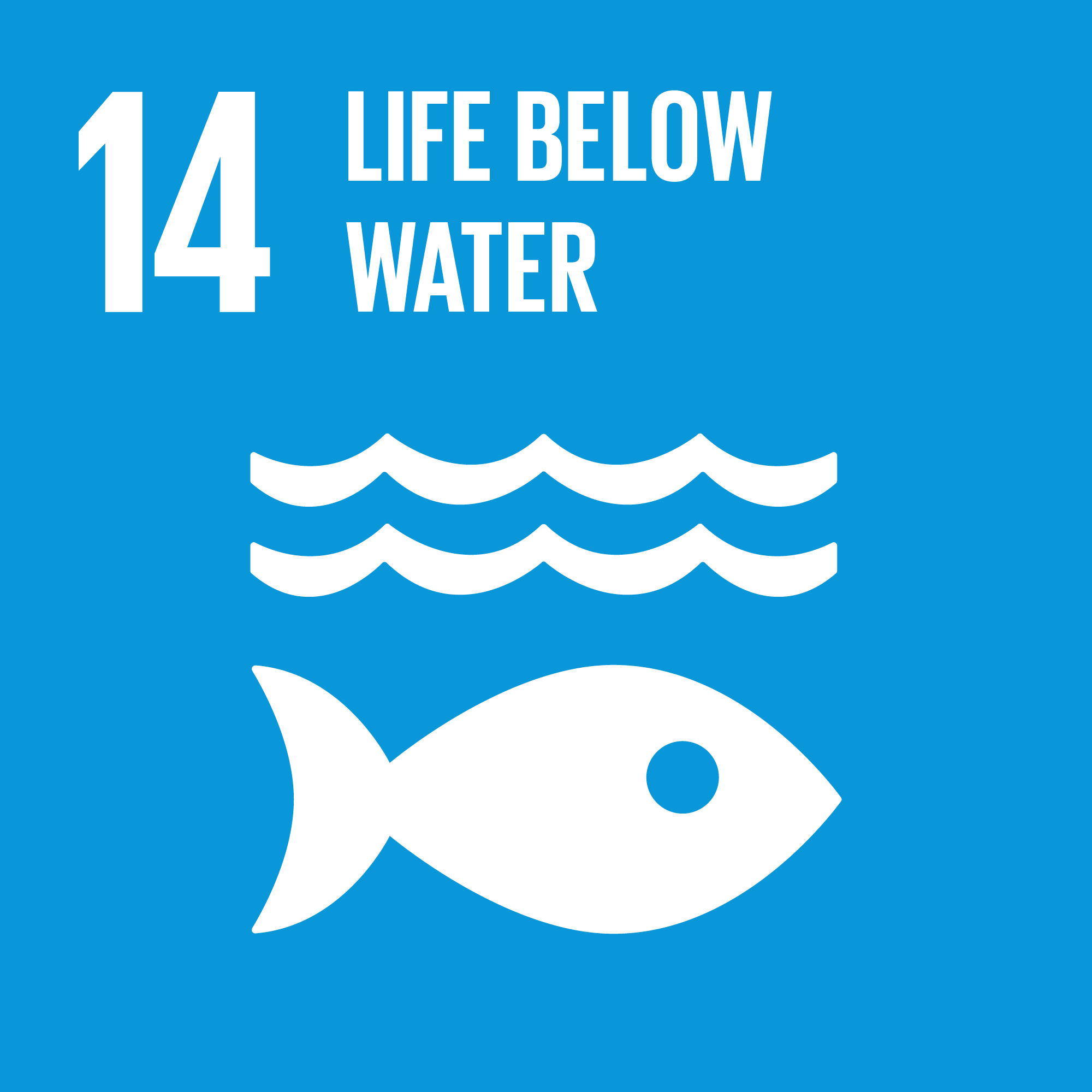  Goal 14: Life Below Water - Conserve and sustainably use the oceans, seas and marine resources for sustainable development