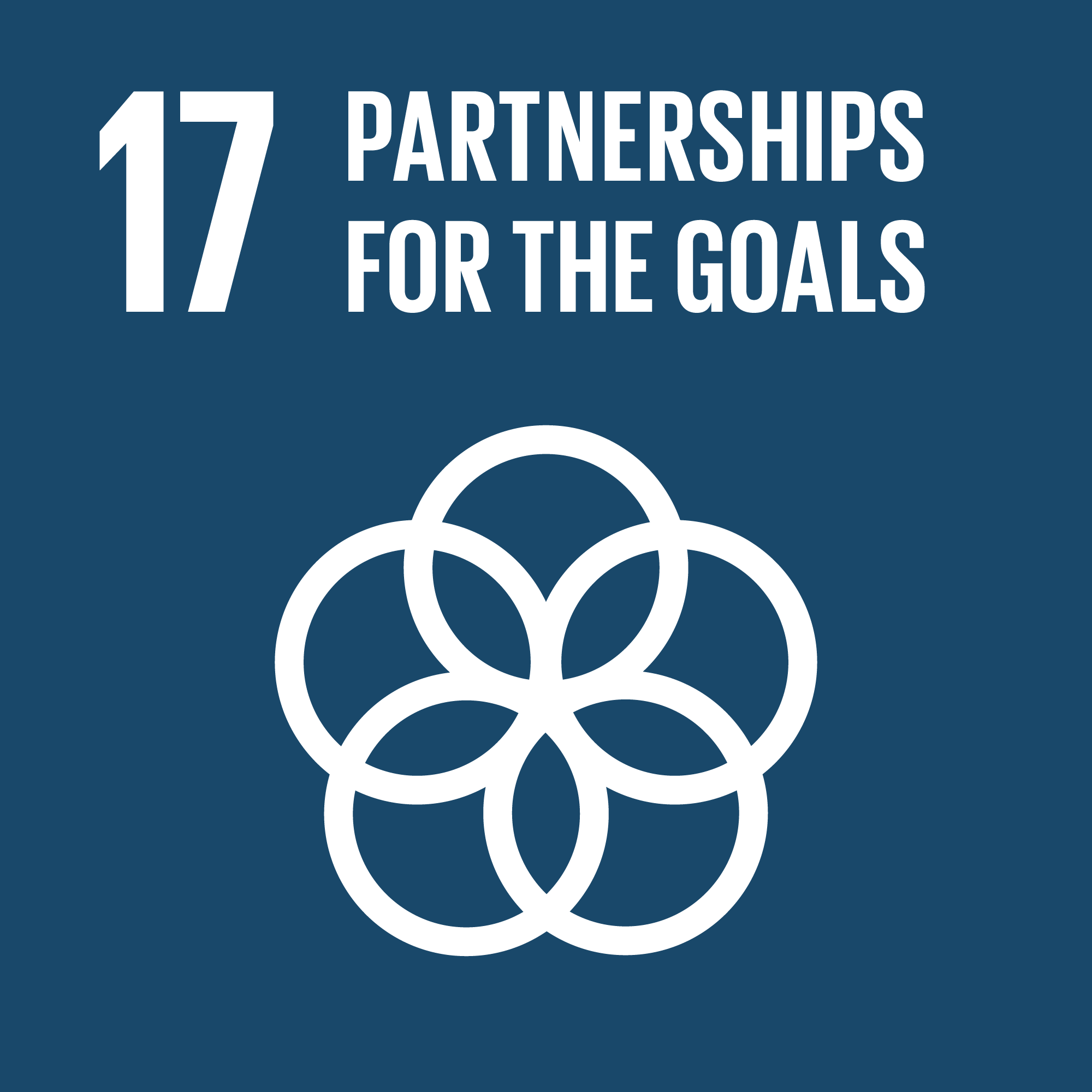  Goal 17: Partnerships for the Goals - Strengthen the means of implementation and revitalize the Global Partnership for Sustainable Development