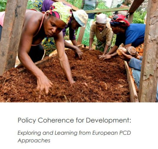 Policy Coherence for Development: Exploring and Learning from European PCD Approaches