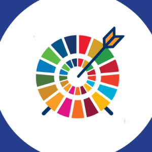 'Stepping up to the SDGs' University Roadshow